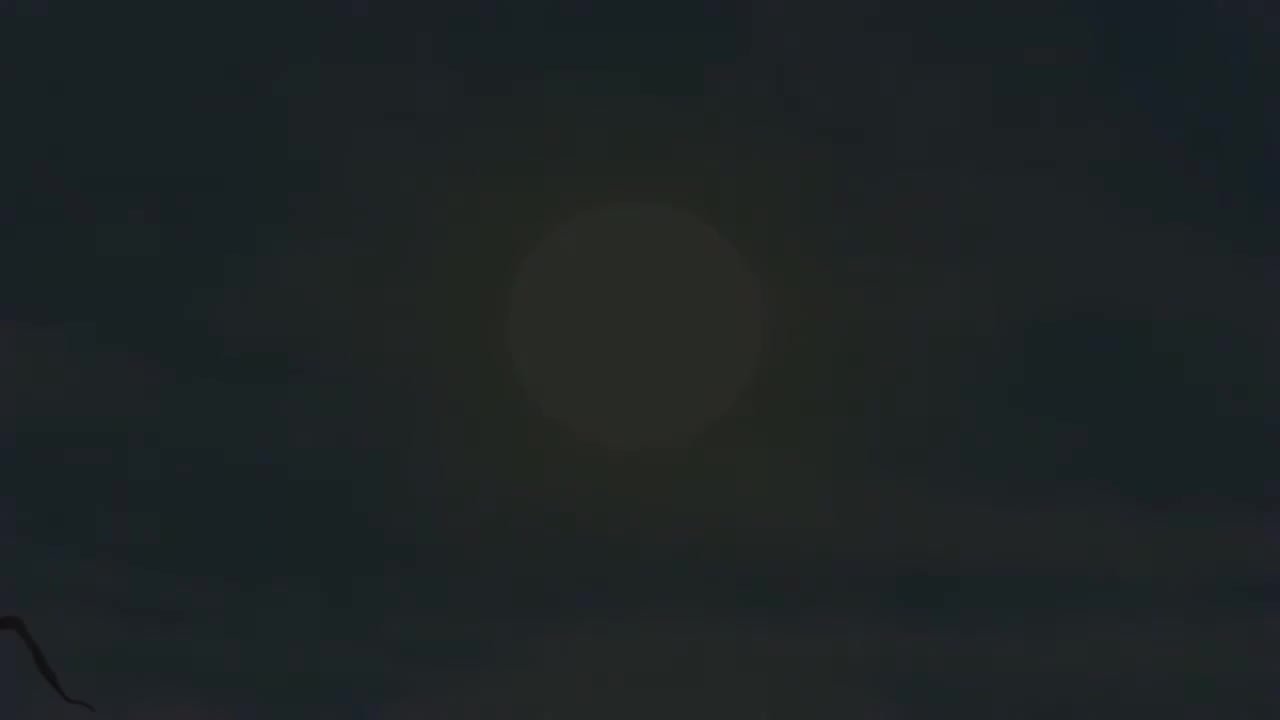 159.【159】Short_Cut__Where's_Little_Redwo(Av585099150,P159)