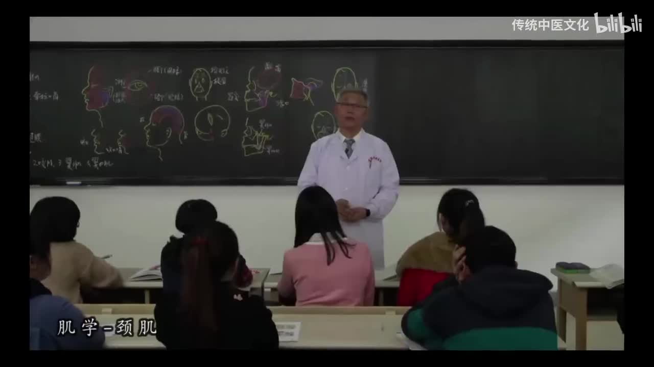 15-解刨学-运动系统-肌学-颈肌