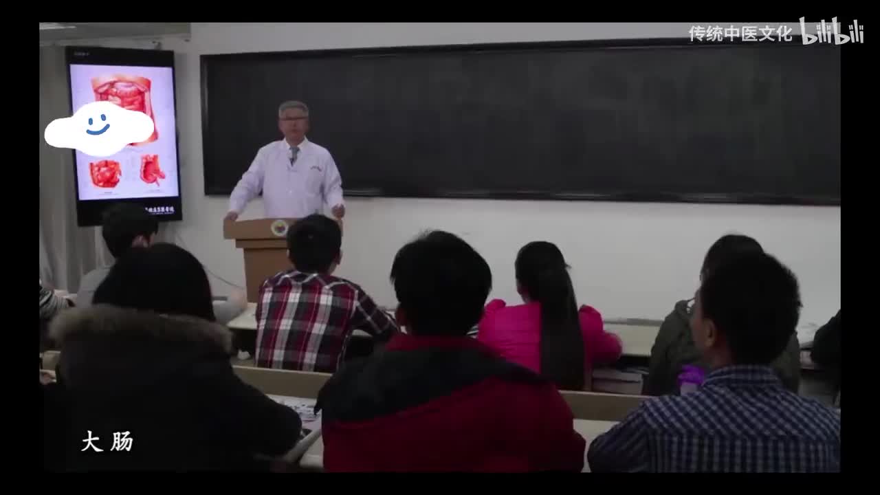 23-解刨学-消化系统-大肠