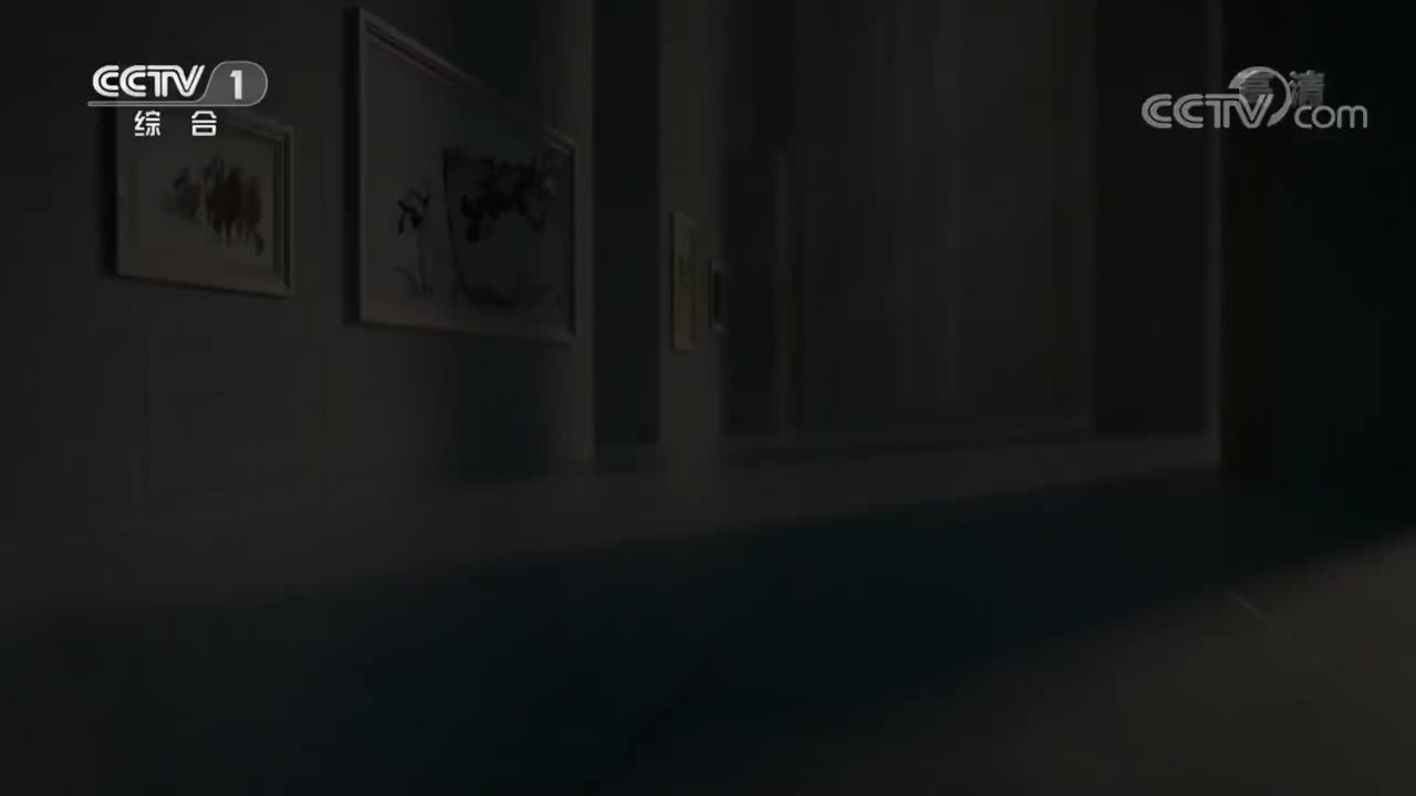 《美术里的中国》 20220418 待细把江山图画