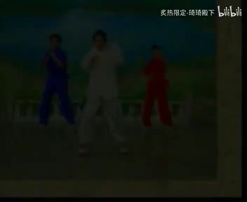 武术散手协调操