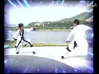 武当松溪短打二路光明拳