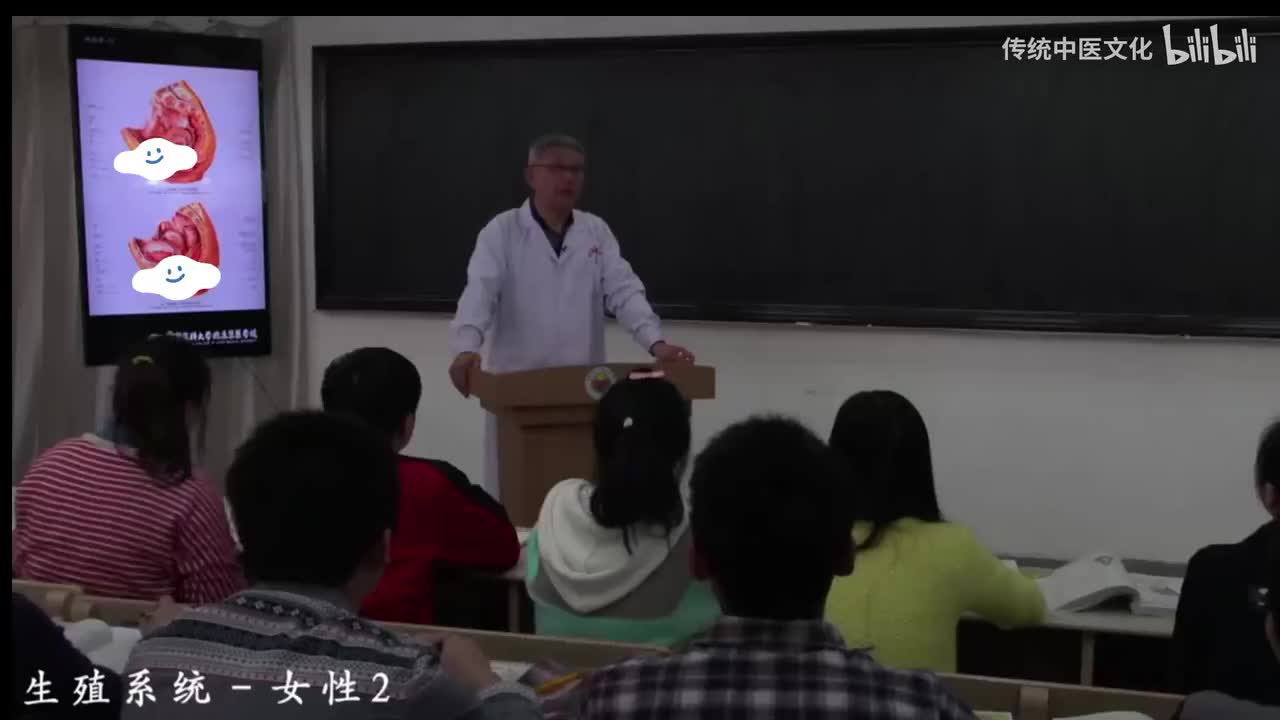 33-解刨学-生殖系统-女性2