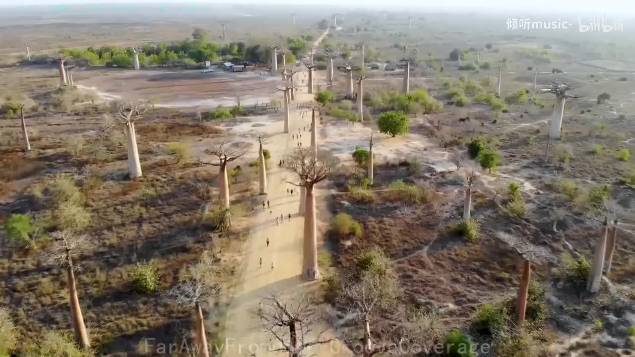 《Far Away From Home》