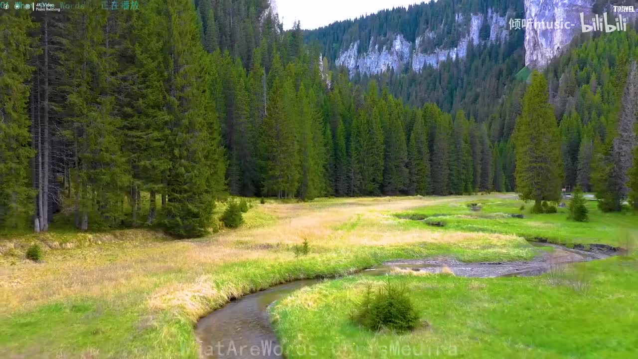 《What Are Words》