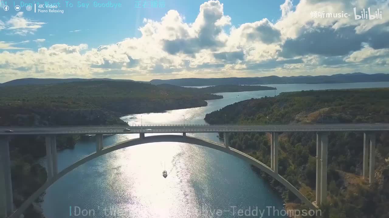 《I Don't Want To Say Goodbye》