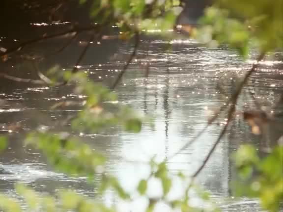 正太剪辑20230324_015905_06