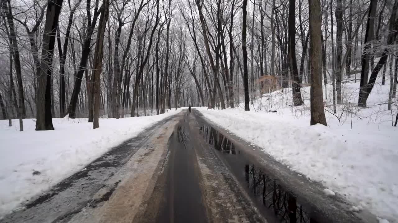 冬季系列素材（5）