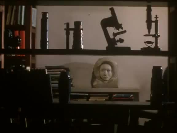 正太剪辑20230324_015905_13