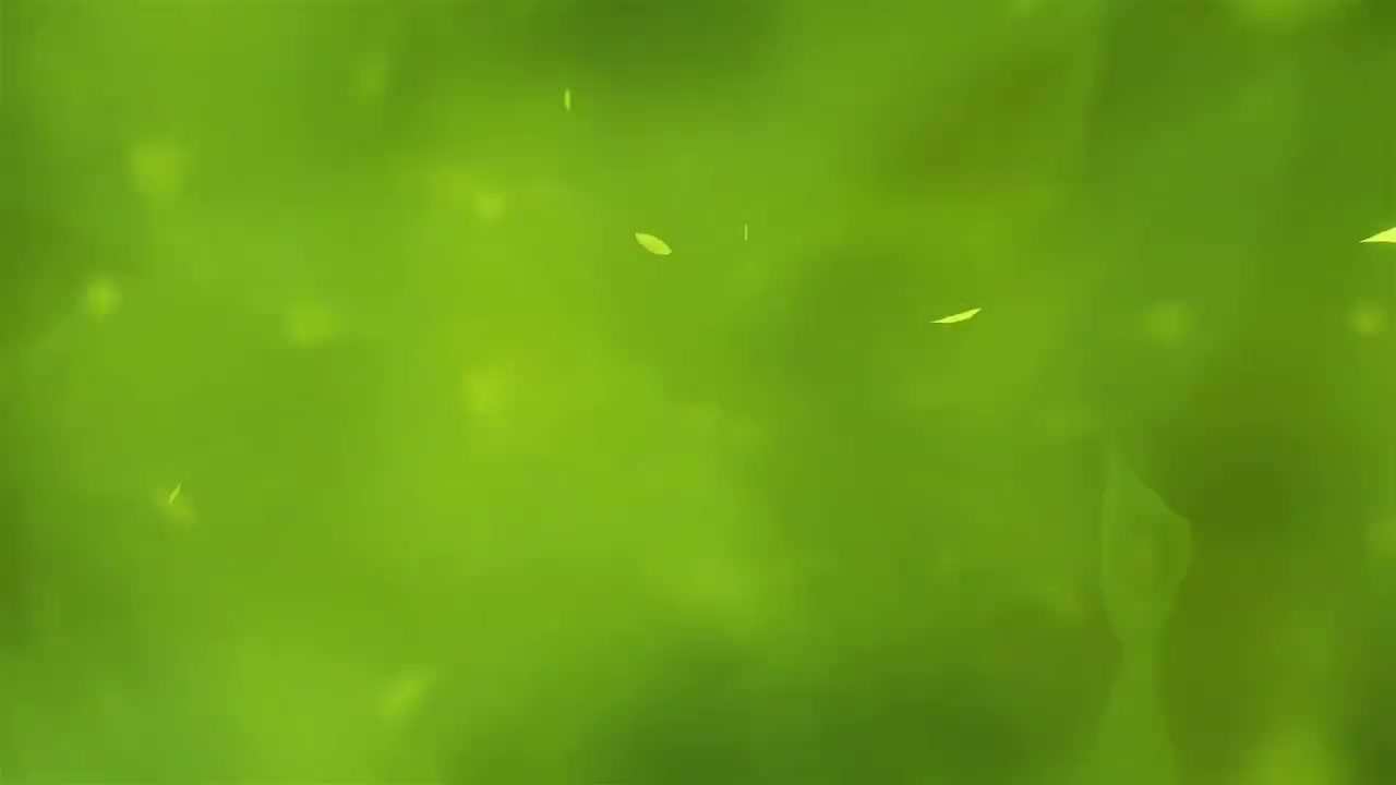 【3.6】版本PV 白术旋律