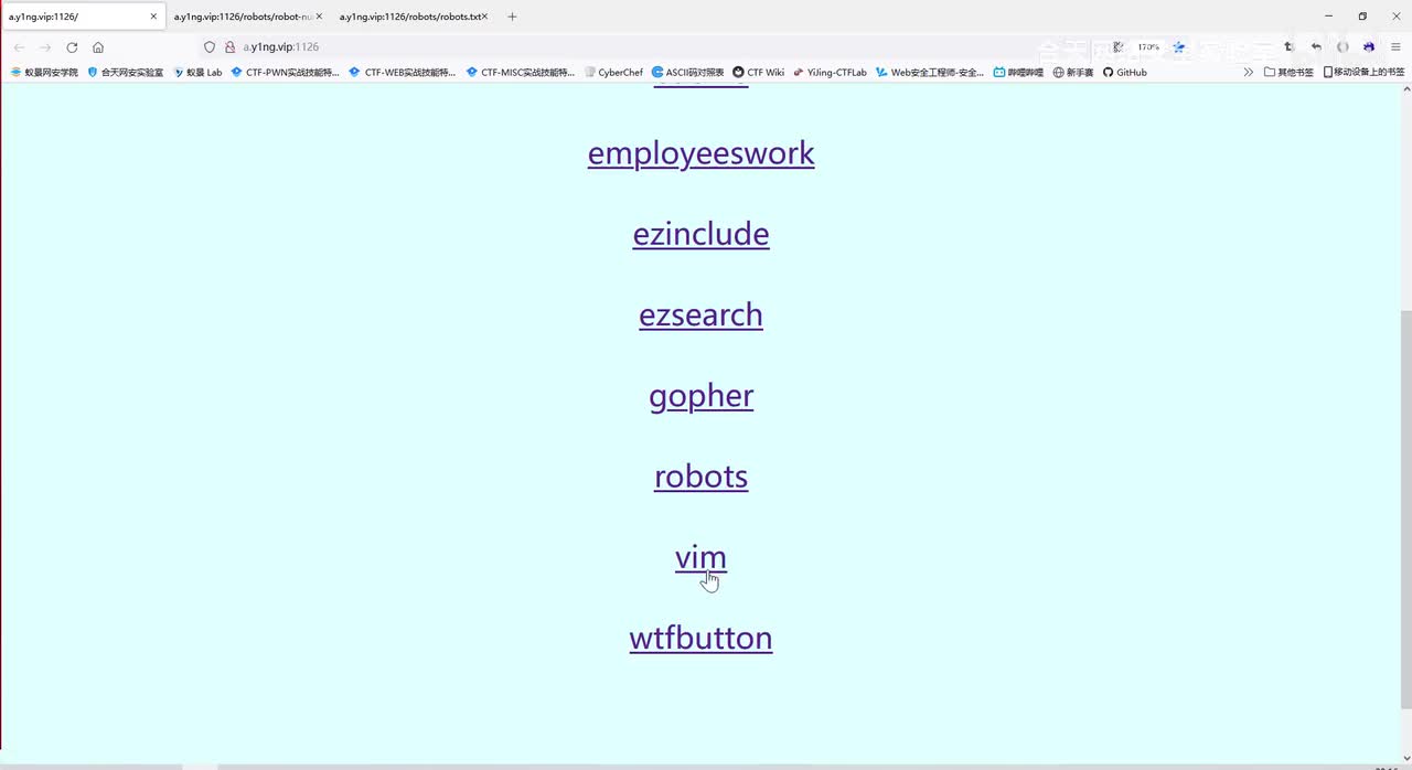 web题-9_VIM隐藏flag.mp4