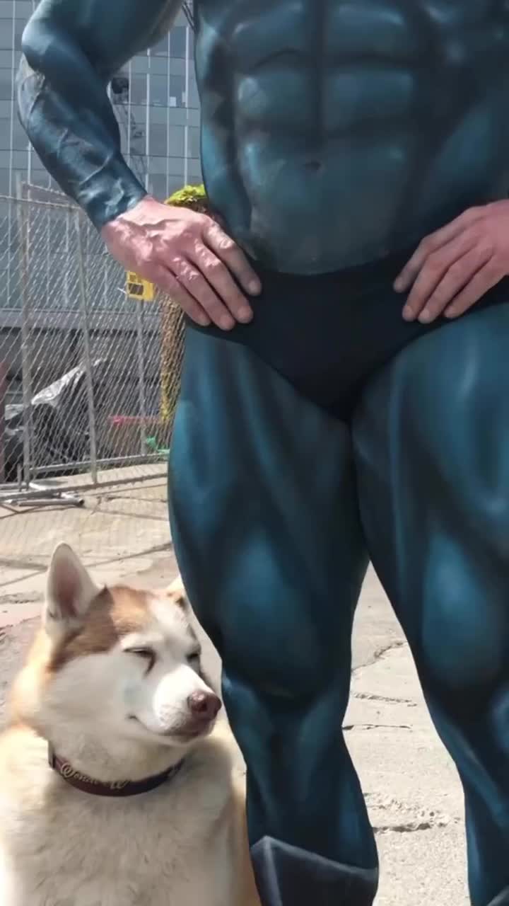 大力王高清素材合集