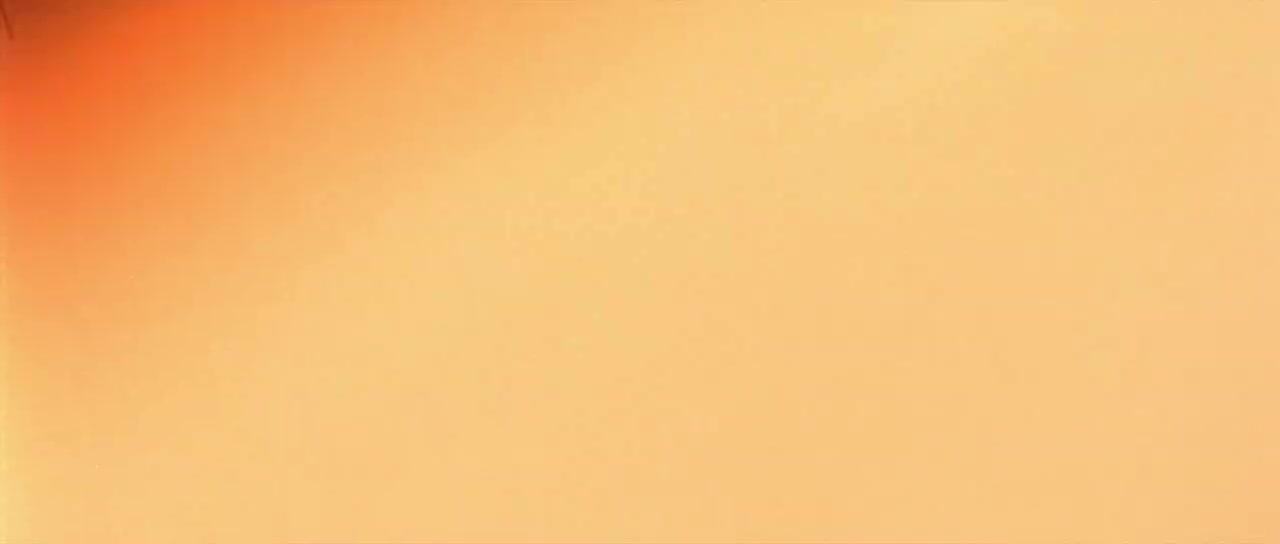 02 BACKSTAGE ''THE FATAL HOUR HAS COME AT NIPPON BUDOKAN''