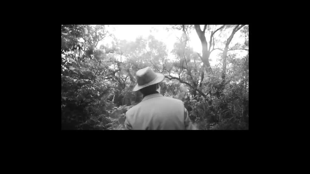 听 《JTW西游记》