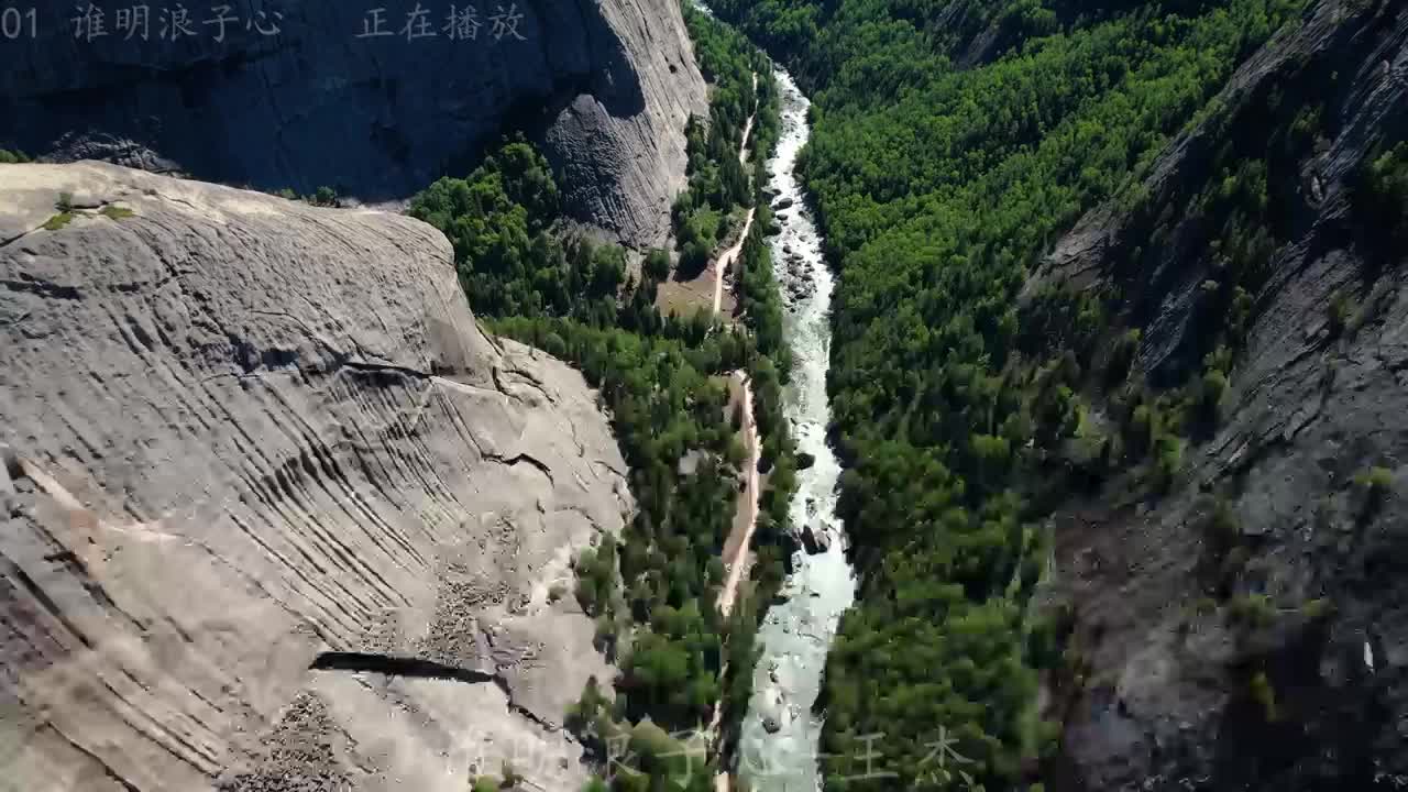 《谁明浪子心》