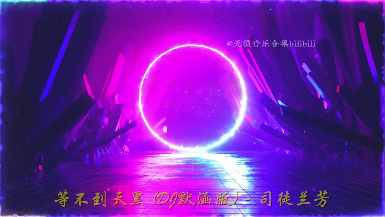 司徒兰芳 - 等不到天黑 (DJ默涵版)