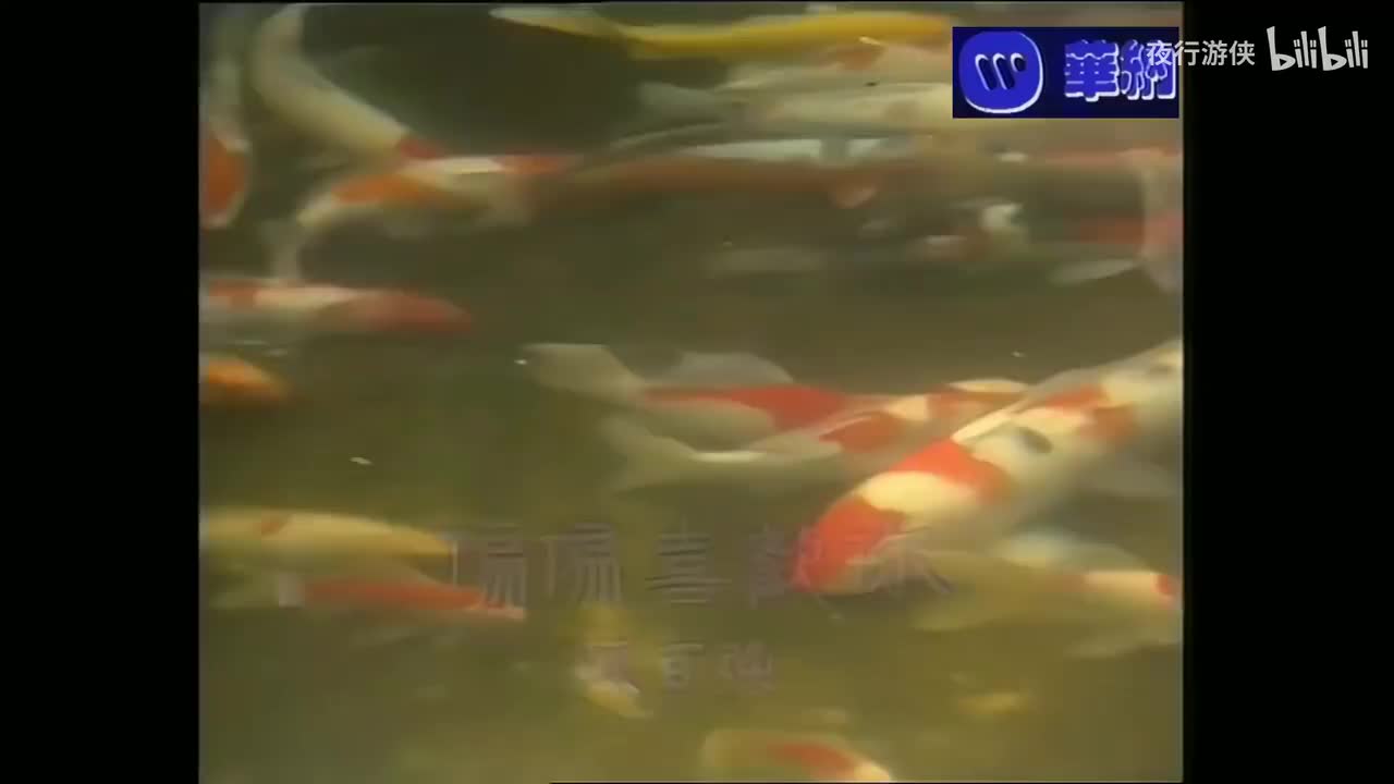 偏偏喜欢你 - 陈百强