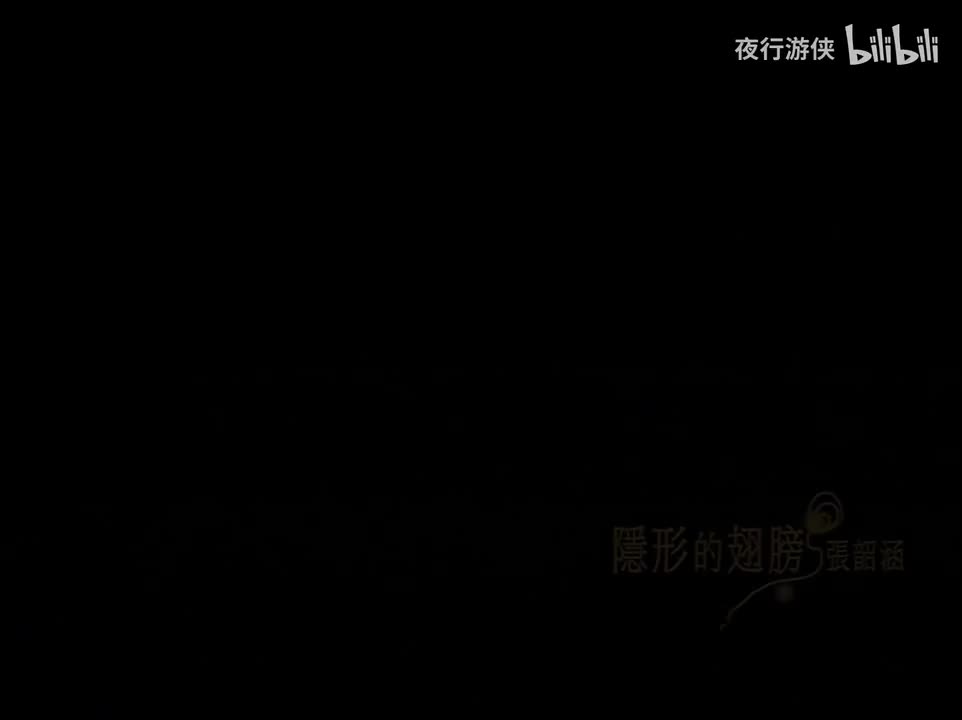 隐形的翅膀 - 张韶涵