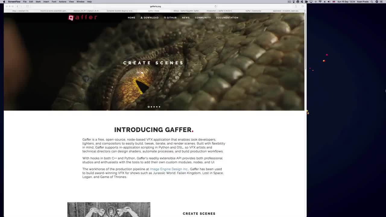 Gaffer introduction 01 720p 1080p