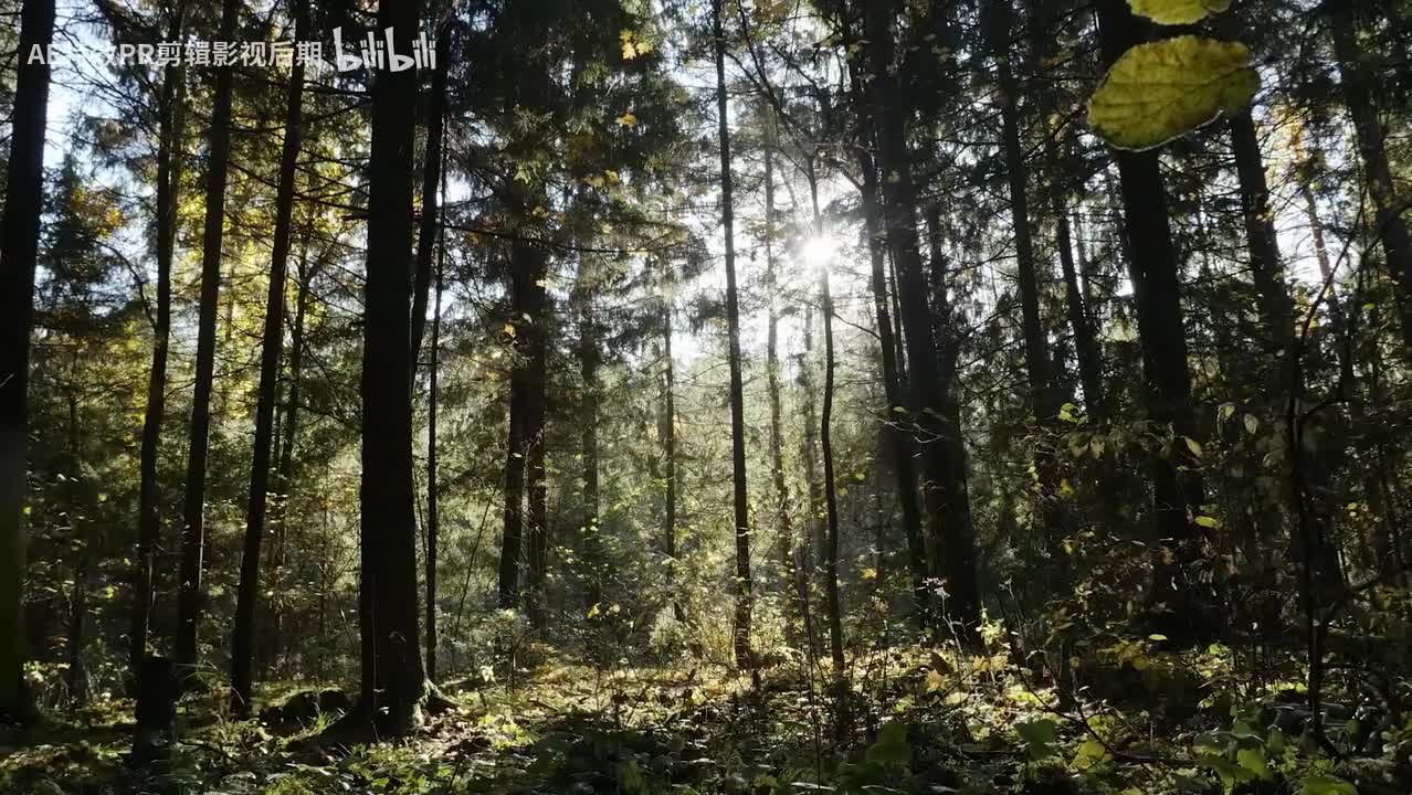 【PR教程】PR丁达尔光效教学