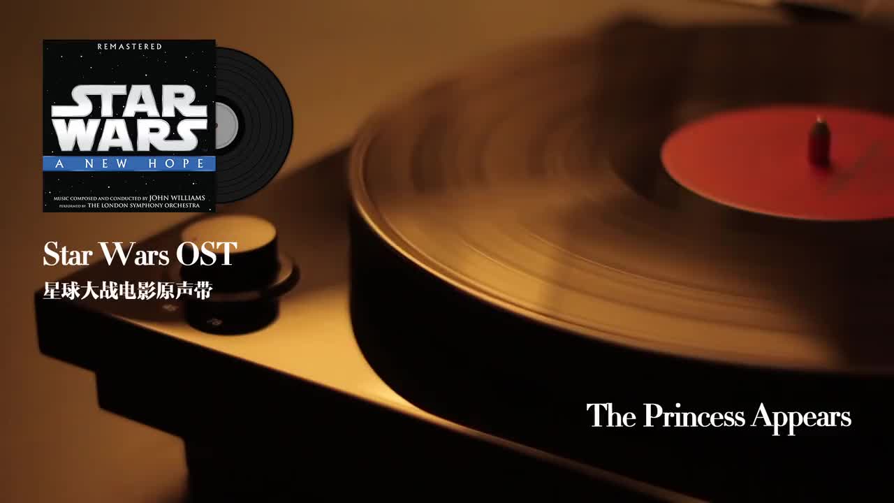 14.The Princess Appears