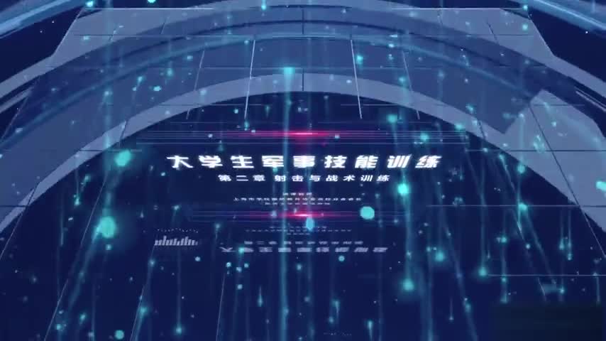3.1.1 轻武器性能与构造