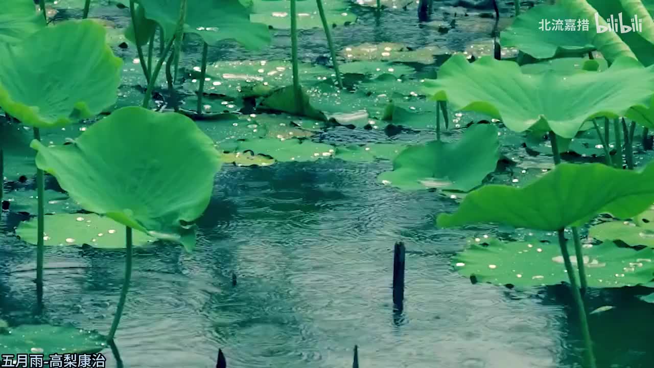 134.五月雨-高梨康治