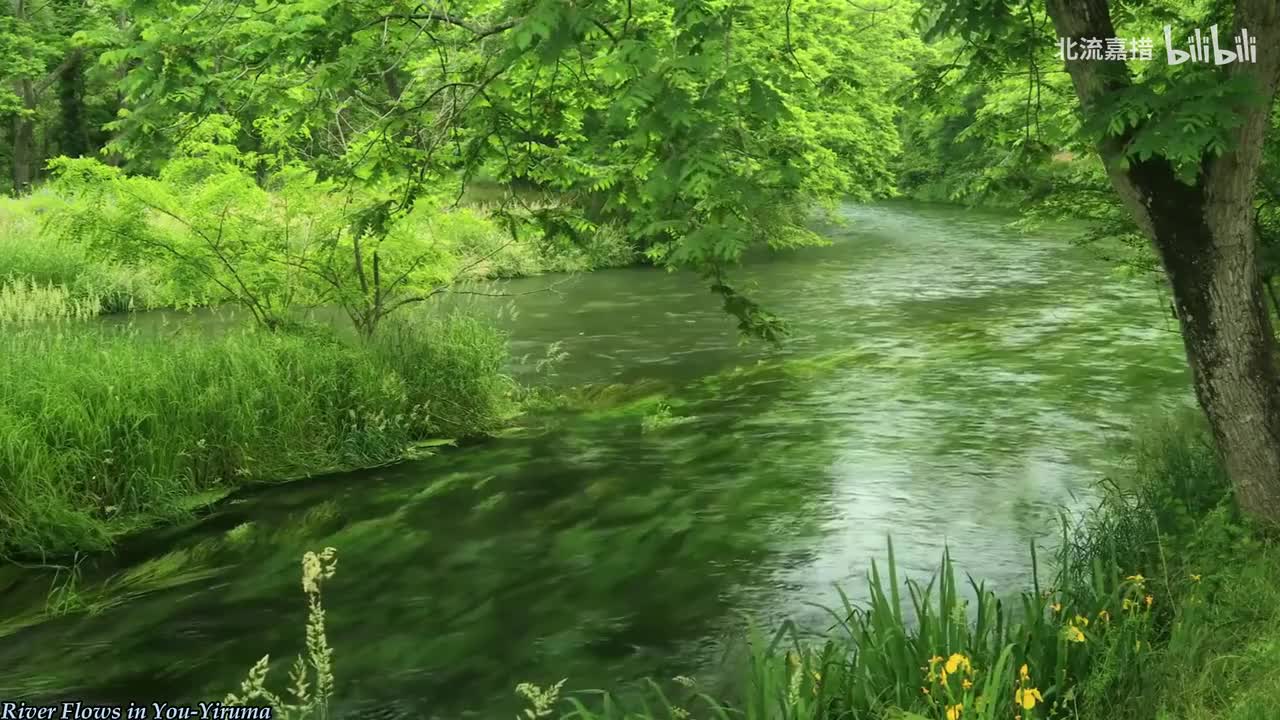 003.River Flows in You-Yiruma