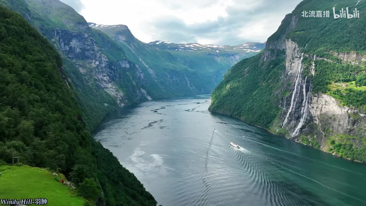 006.Windy Hill-羽肿