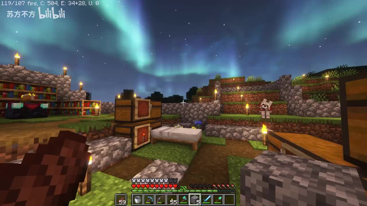 19-种胡萝卜和刷怪塔