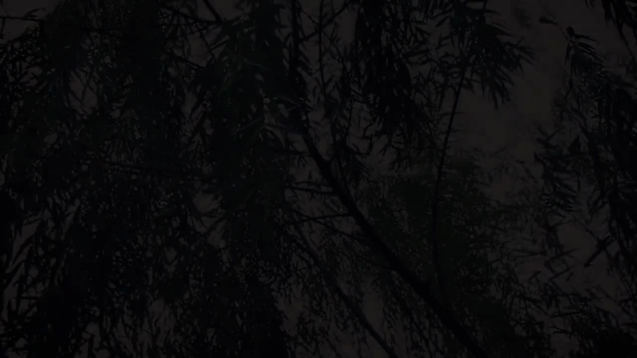 2-08 愿君心记取 (欧俪雯)