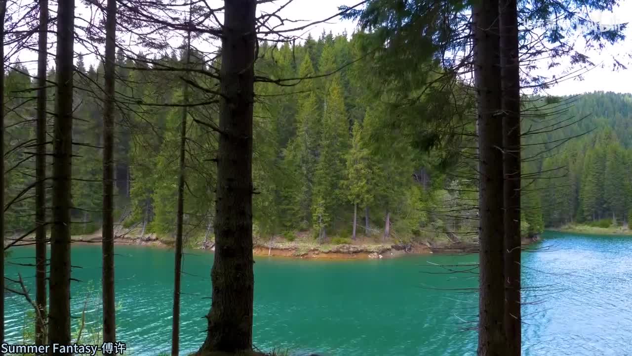 189.Summer Fantasy-傅许