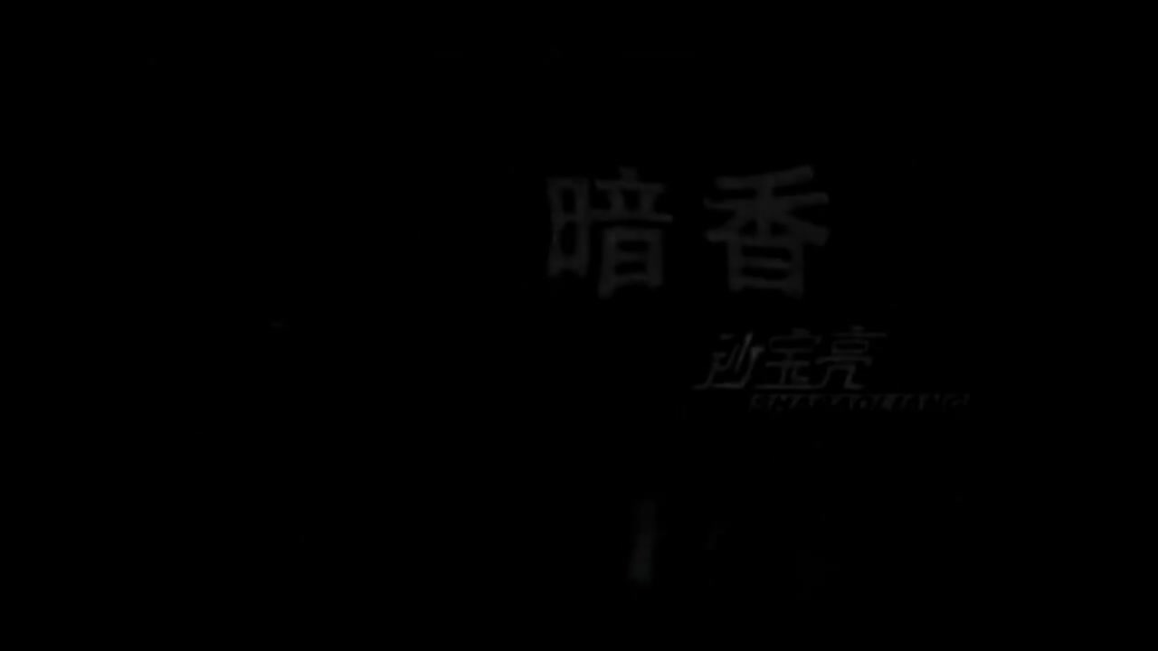 暗香 - 沙宝亮