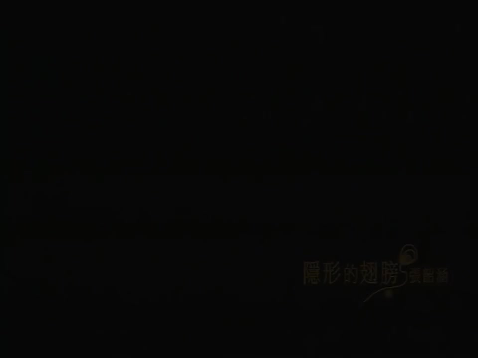 隐形的翅膀 - 张韶涵