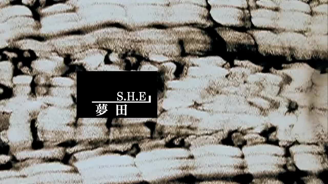 S.H.E-梦田