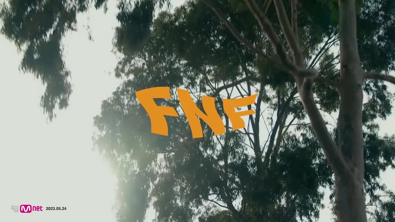 FNF