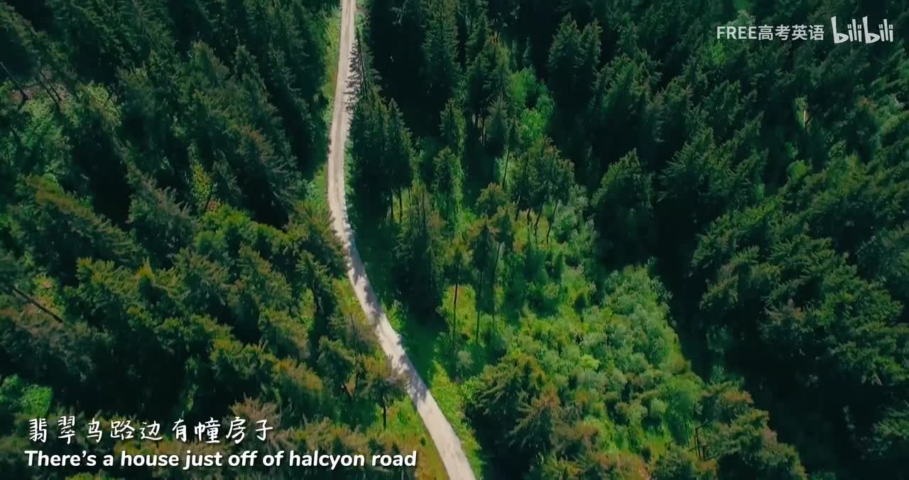 29 Practice 36 - 蜂鸟报恩记