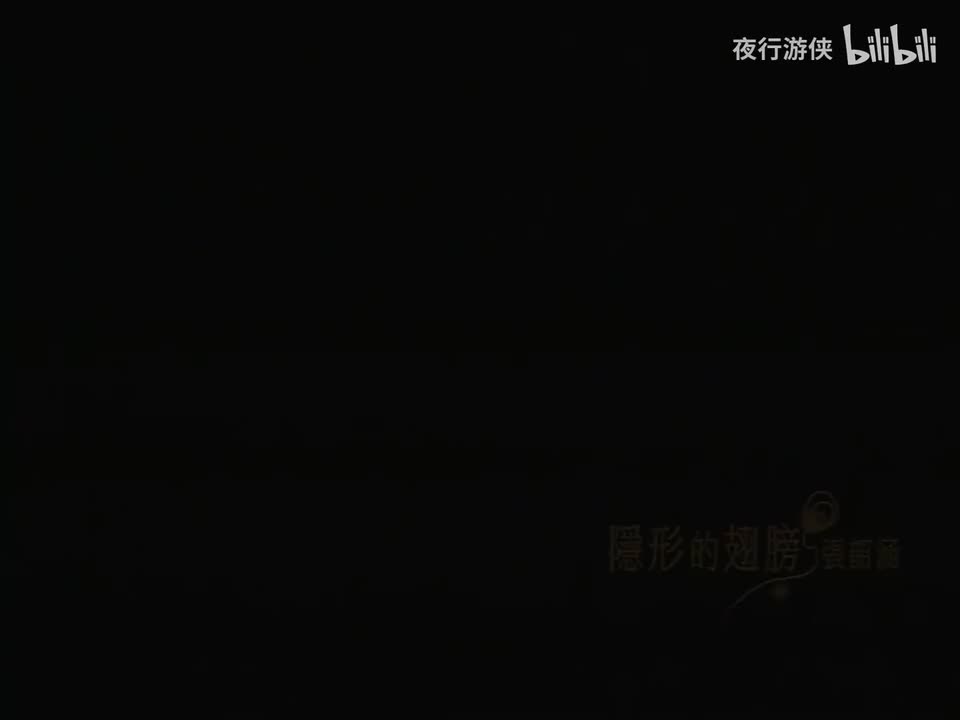 隐形的翅膀 - 张韶涵