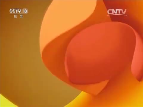 荒野求生—落基山脉