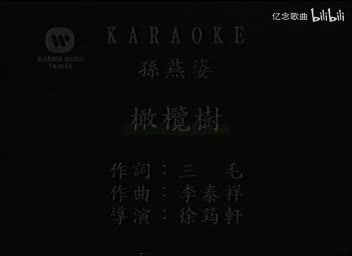 孙燕姿-橄榄树(MTV)[国语](VCD)