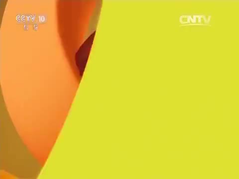 荒野求生—莫哈韦沙漠