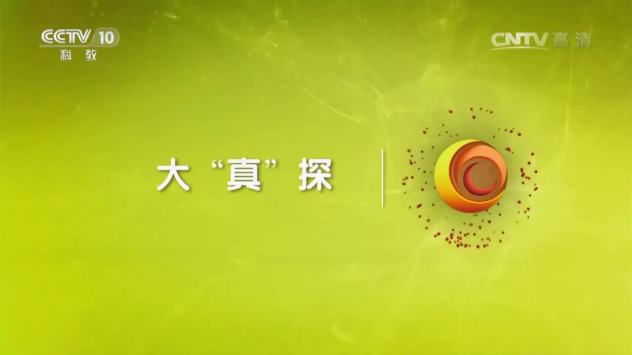 荒野求生—苏格兰海岸