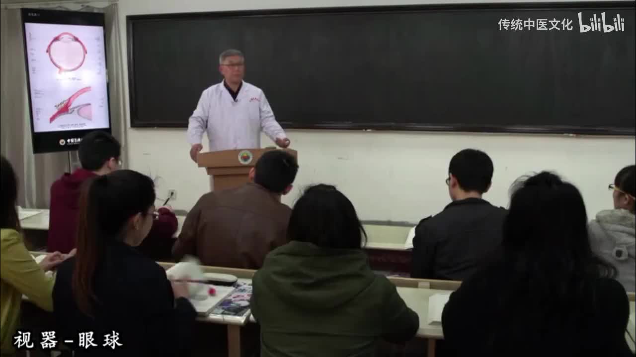 42-解刨学-感觉器-眼球