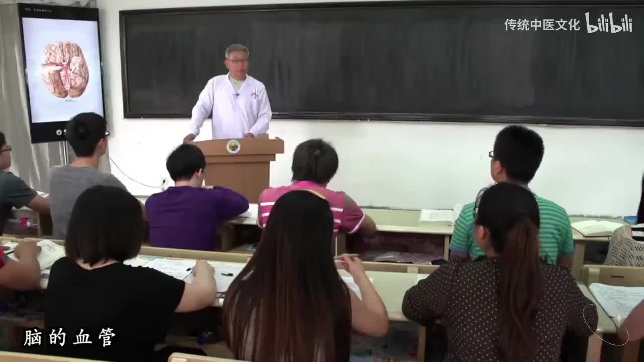 52-解刨学-中枢神经系统-脑的血管