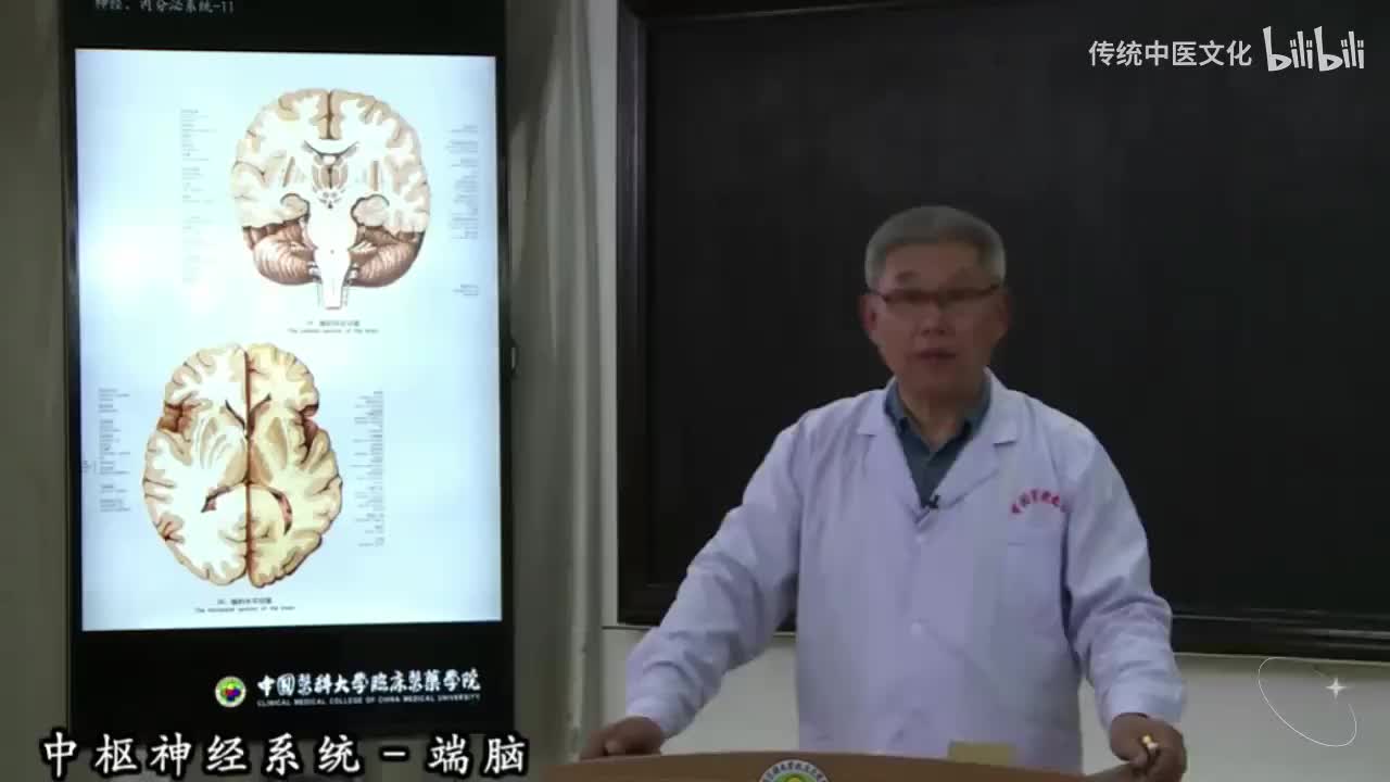 50-解刨学-中枢神经系统-端脑