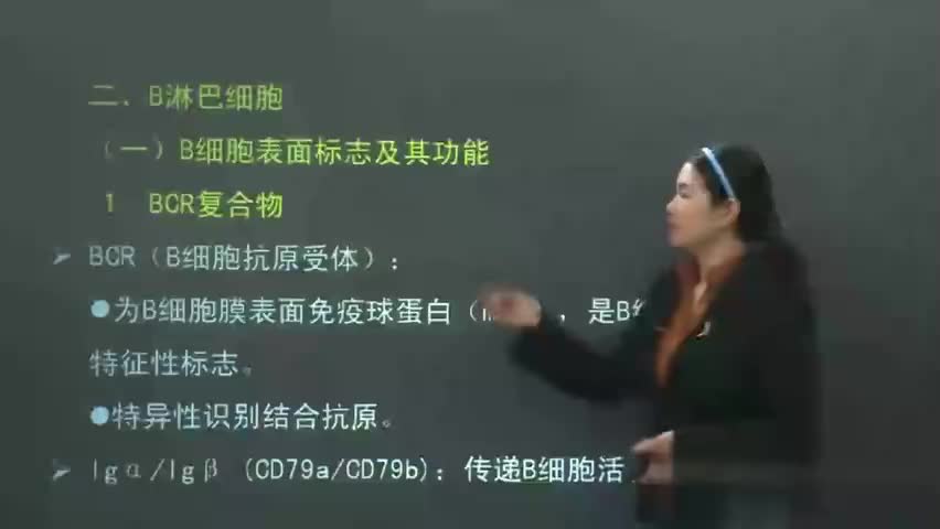6-医学免疫学 P6 免疫细胞