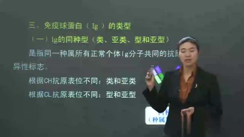 8-医学免疫学 P8 免疫球蛋白（抗体）