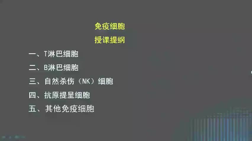 5-医学免疫学 P5 免疫细胞