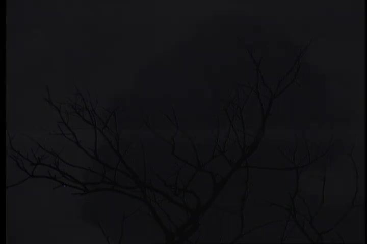 碟A 15 青山-一寸相思一寸泪（华声）