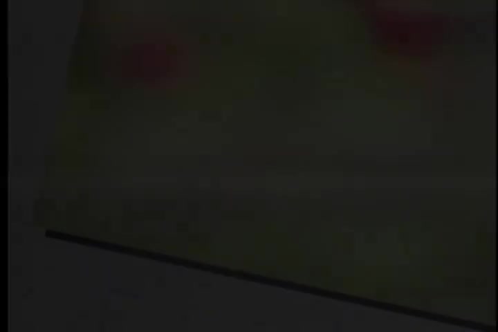 碟A 02 青山-恋之火（华声）